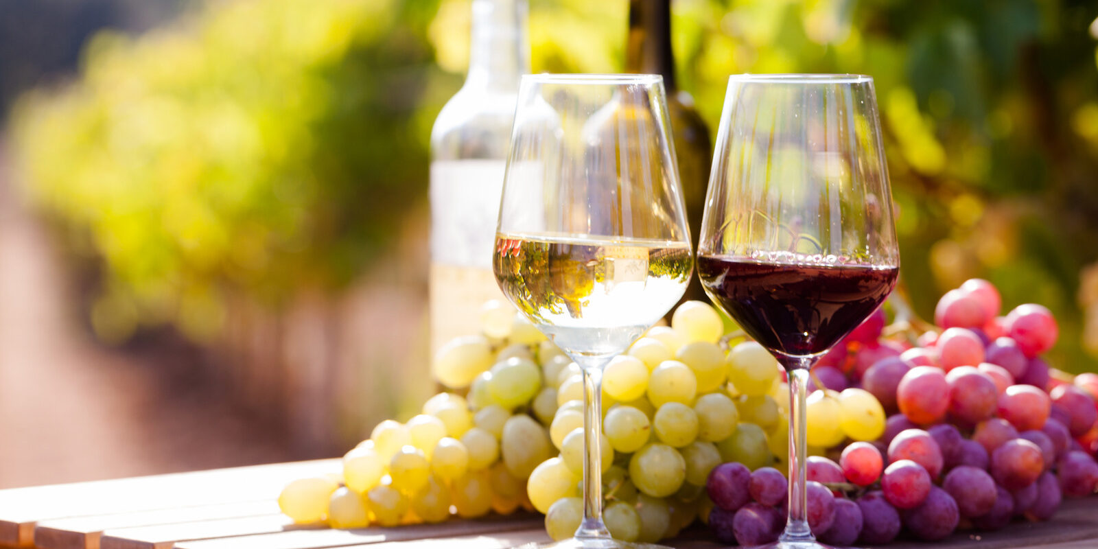 Organic Red and White Wine