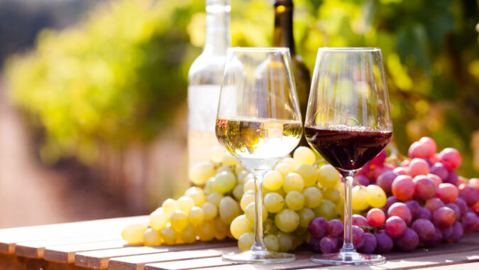 Organic Red and White Wine